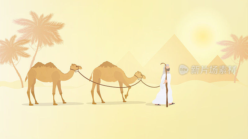 A caravan of camels goes through the desert. Vector.